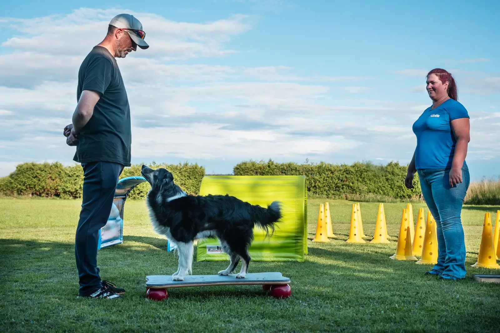 Mensch und Border Collie trainieren gemeinsam auf dem Hundeplatz
